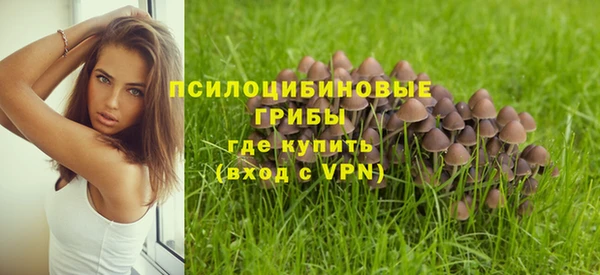 не бодяженный Туринск