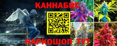 Альфа ПВП Канаш