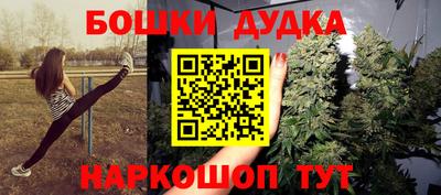 Альфа ПВП Канаш